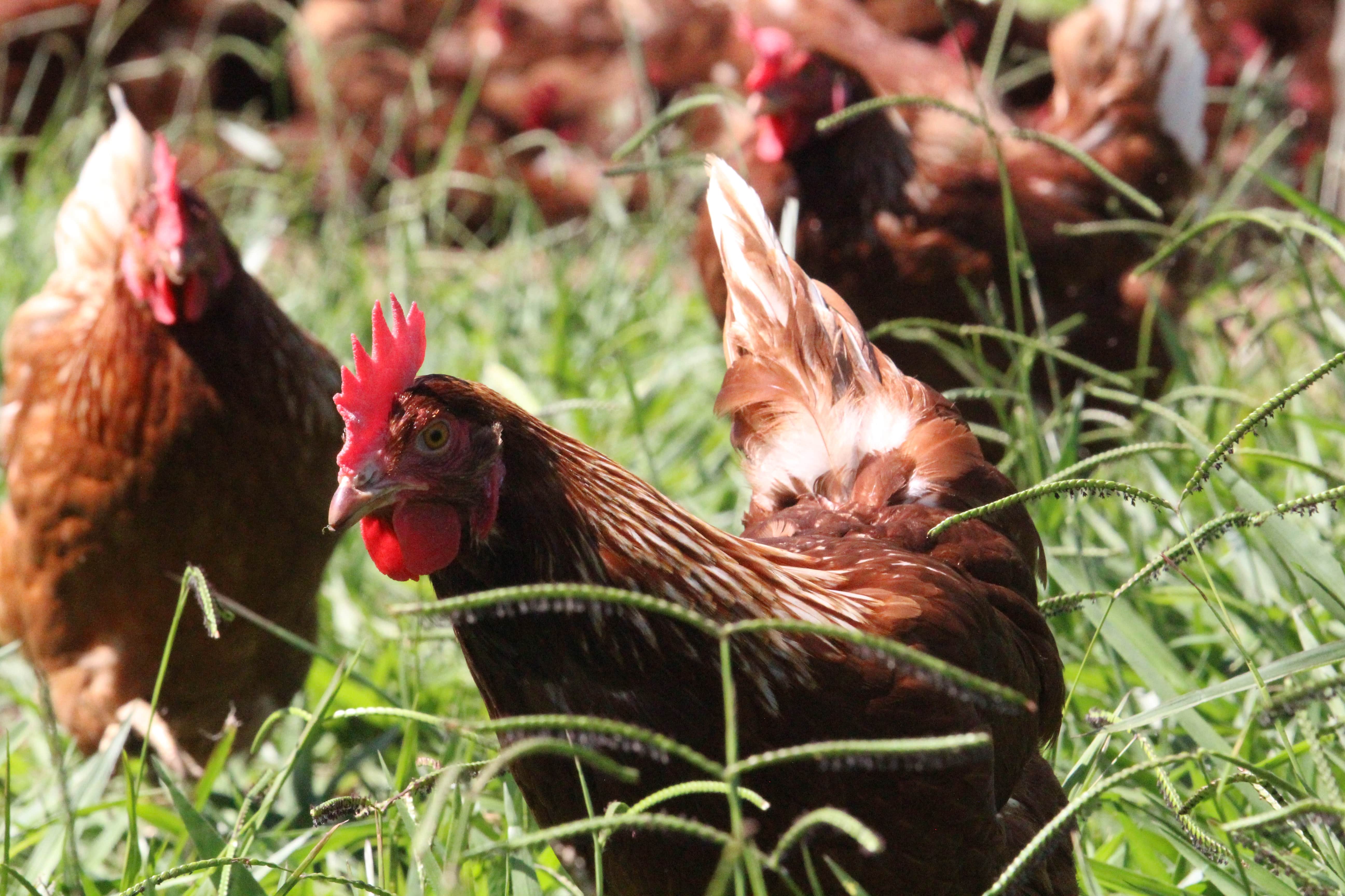 Bootstrap Site Examples 